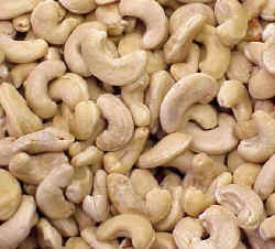Anacardiaceae Cashew Nuts